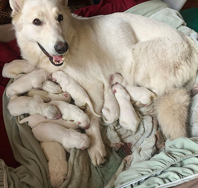 00_Petra_2020_litter_day_1.jpg